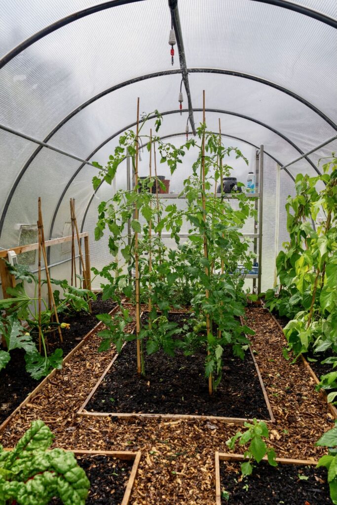 The front gardens at Broadlands